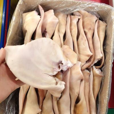浙江臺州溫嶺市新鮮豬耳朵批發(fā) 價格實惠，品質(zhì)保證